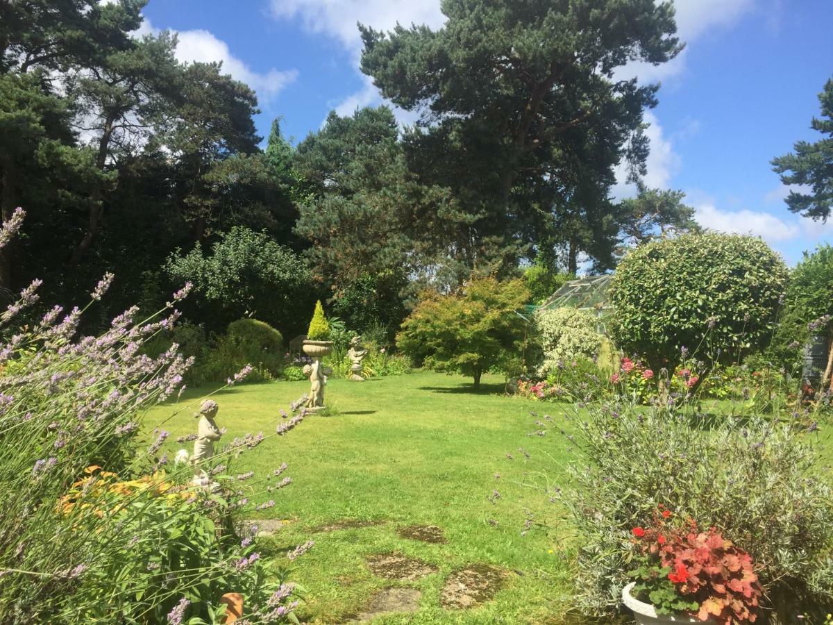 Heatherdene House Corfe Mullen Zewnętrze zdjęcie