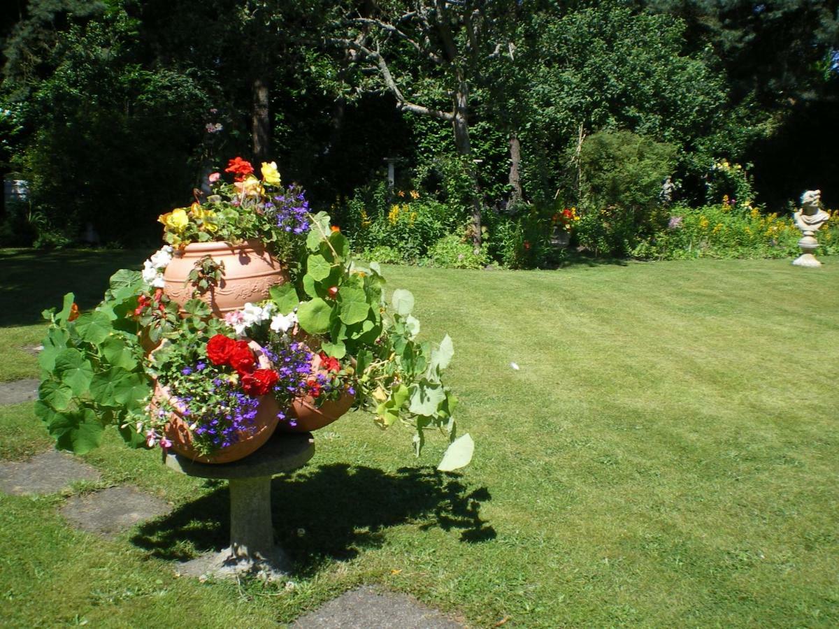 Heatherdene House Corfe Mullen Zewnętrze zdjęcie